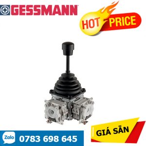 Bộ điều khiển đa trục V6/VV6 Gessmann