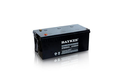 Baykee GFM series -  Pin GELVRLA - Baykee Vietnam - Ảnh 3
