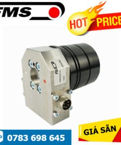 RMGZ300 FMS