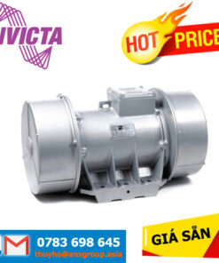 BLZ/15-3/4/01/50 Invicta Vibrators