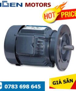 I08HT1KG8 Higen MOTOR