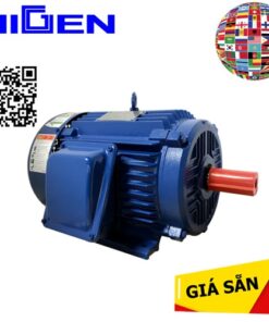 I01HK1HDD2 Higen Motor Vietnam,Motor